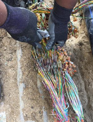 telemfibre11112020