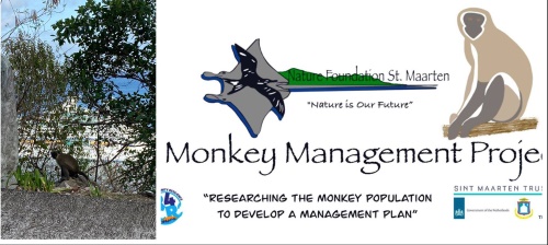 monkeymanagement04052021