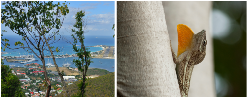 nature09082021