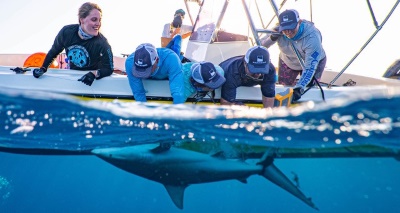 sharks20052021