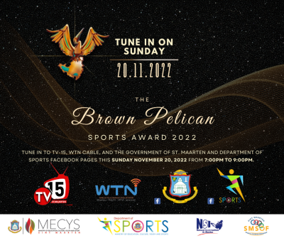 brownpelican16112022