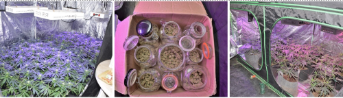 gangafarm21072022