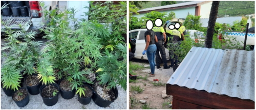 ganja04092022