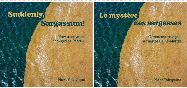 sargassum26092022