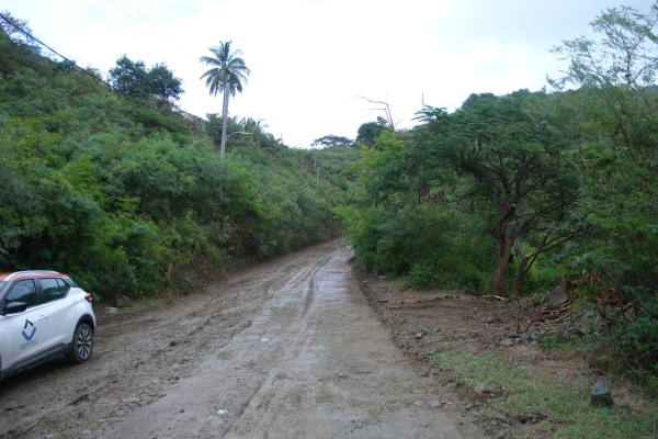 guavaberryroad05022024