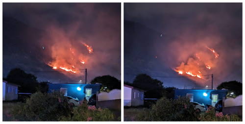 suckergardenfire23032024
