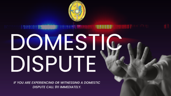 domesticdispute07072025