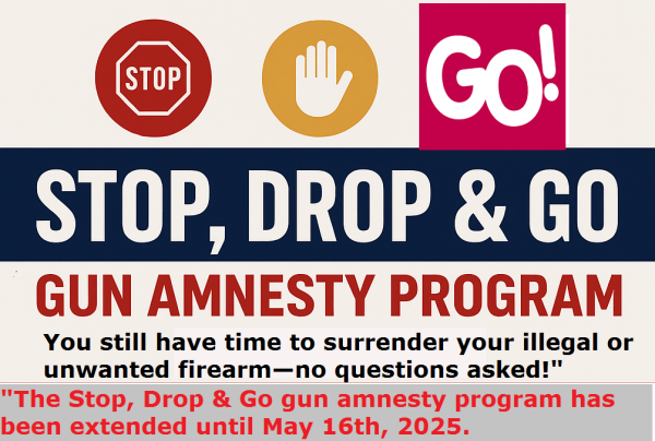 gunamnesty06052025