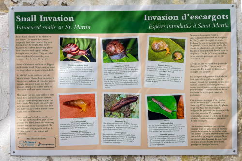 snailexhibits30112025