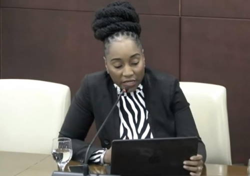 tasheenamaccow29032025