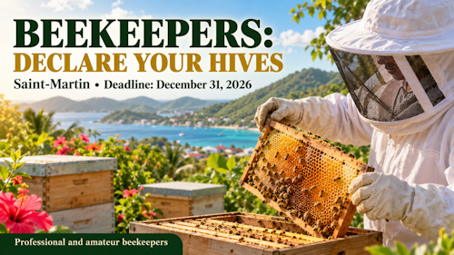 beekeepers23102026