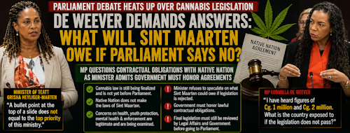 cannabisdebate25082026