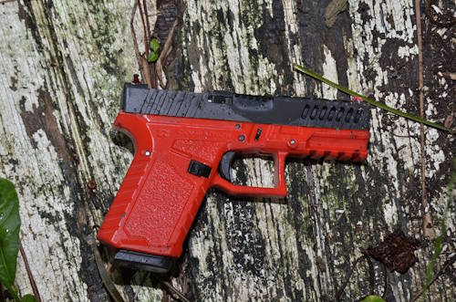 firearm25092026