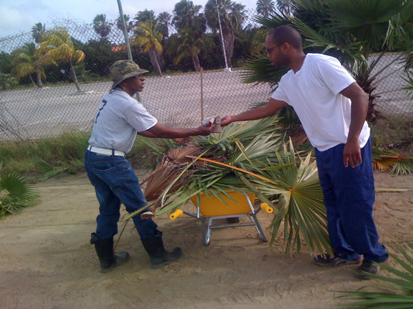 baseballfieldrenovations15042011