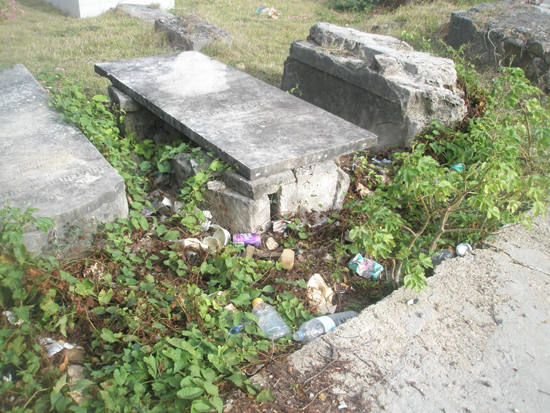 cem13082009