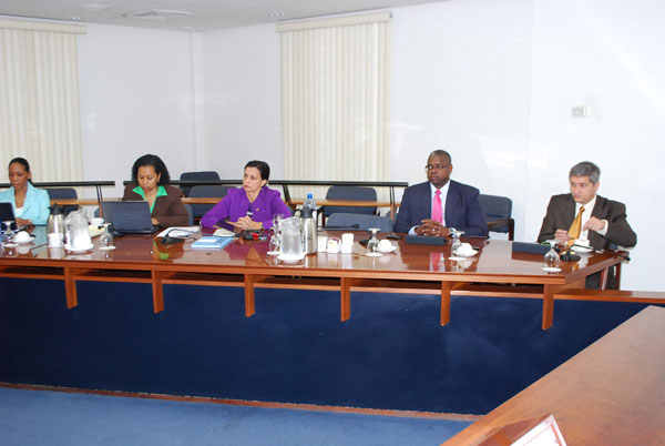 councilofministers06012011