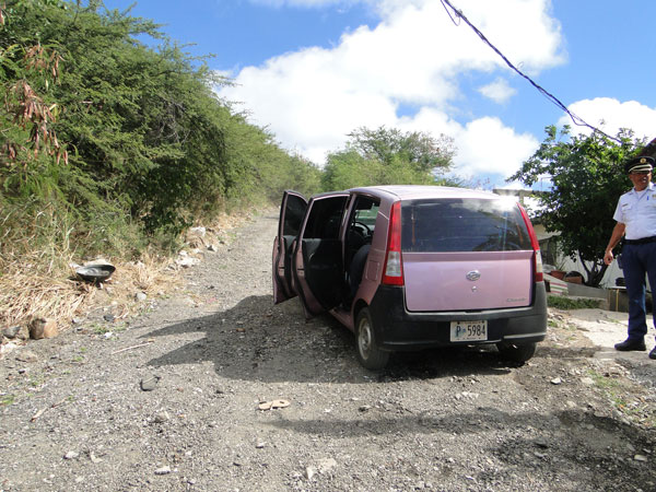 daihatsucharade06012011