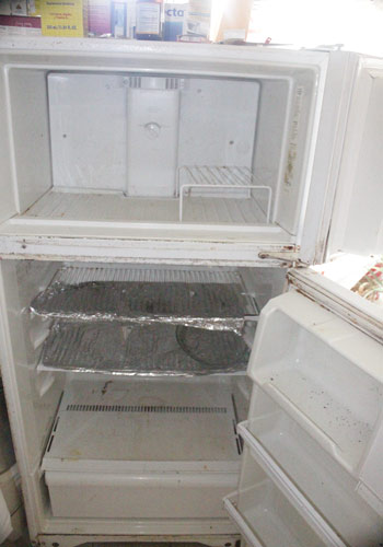 emptyfridge15072010