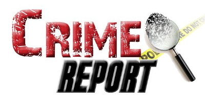 crimereportfillin09112017