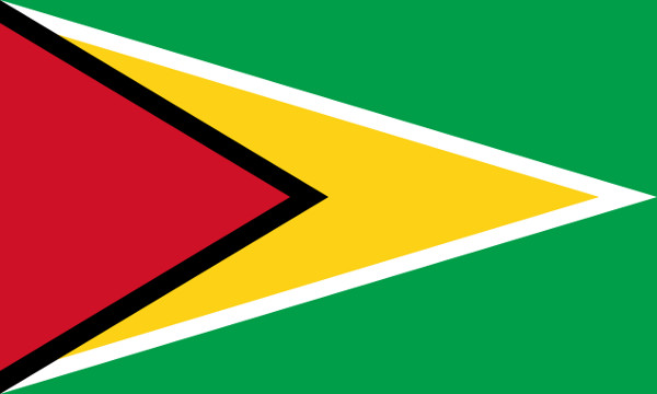 guyanaflag09102017