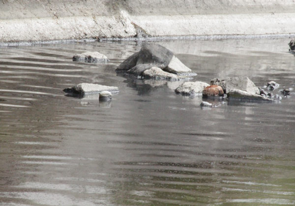 gspoilspill27042010