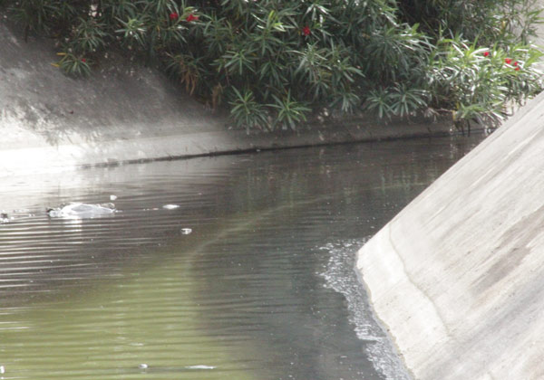 gutter27042010