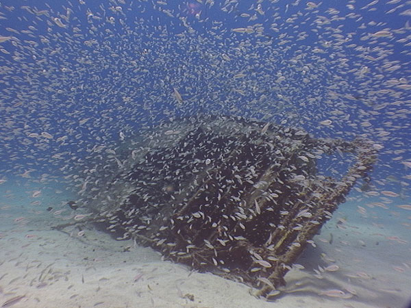 mowsmpbridgewreck21082011