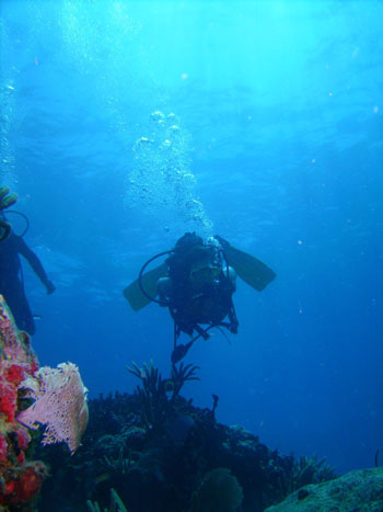 mowsmpdiver21082011