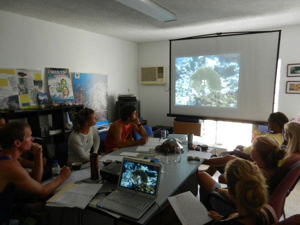 naturefoundationreefcheckvolunteers07112011