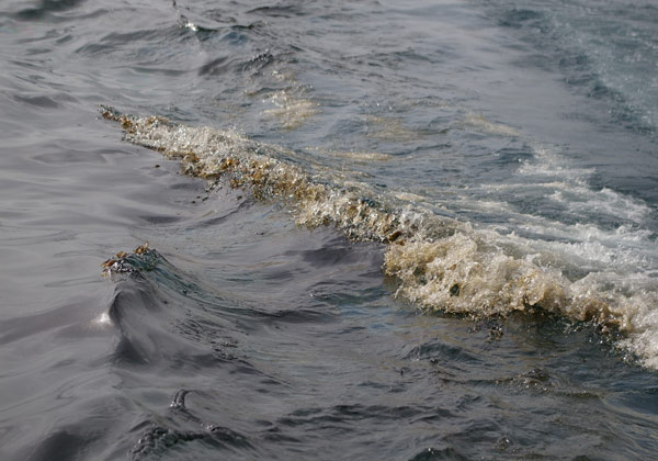 oilspillwater02072010