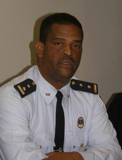 panneflek01022010