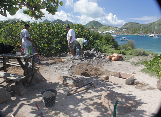 pinelisland14012010
