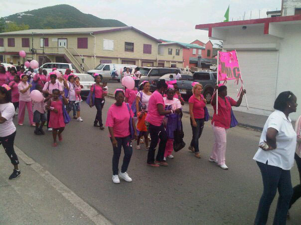 pinkparade01102010
