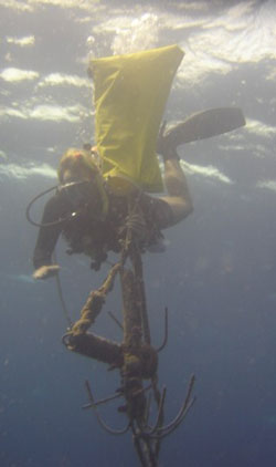 reefcleanup09052011