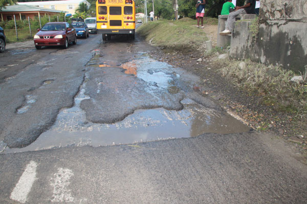 suckergardenpotholes13122011